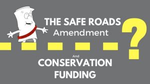 Safe Roads Amendment