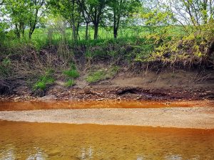 Coal Ash in Vermilion River