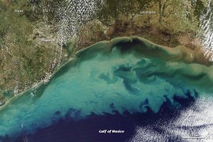 Gulf of Mexico Dead Zone