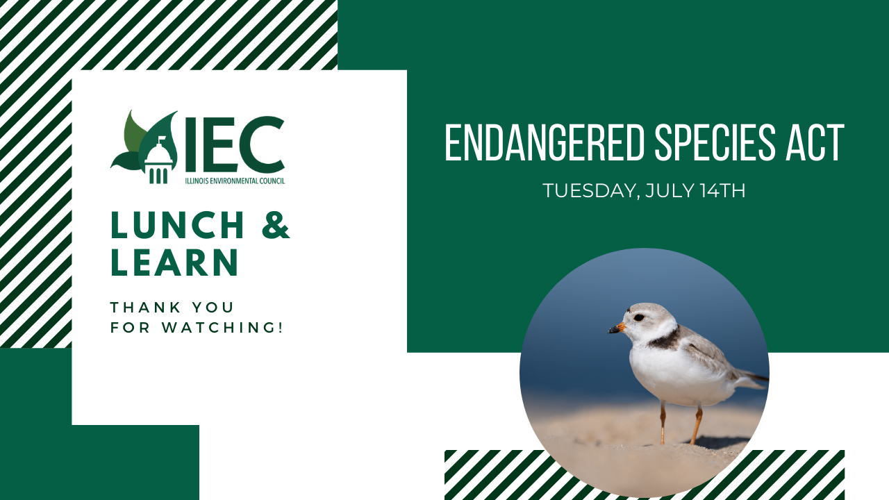 Endangered Species Act - Illinois Environmental Council