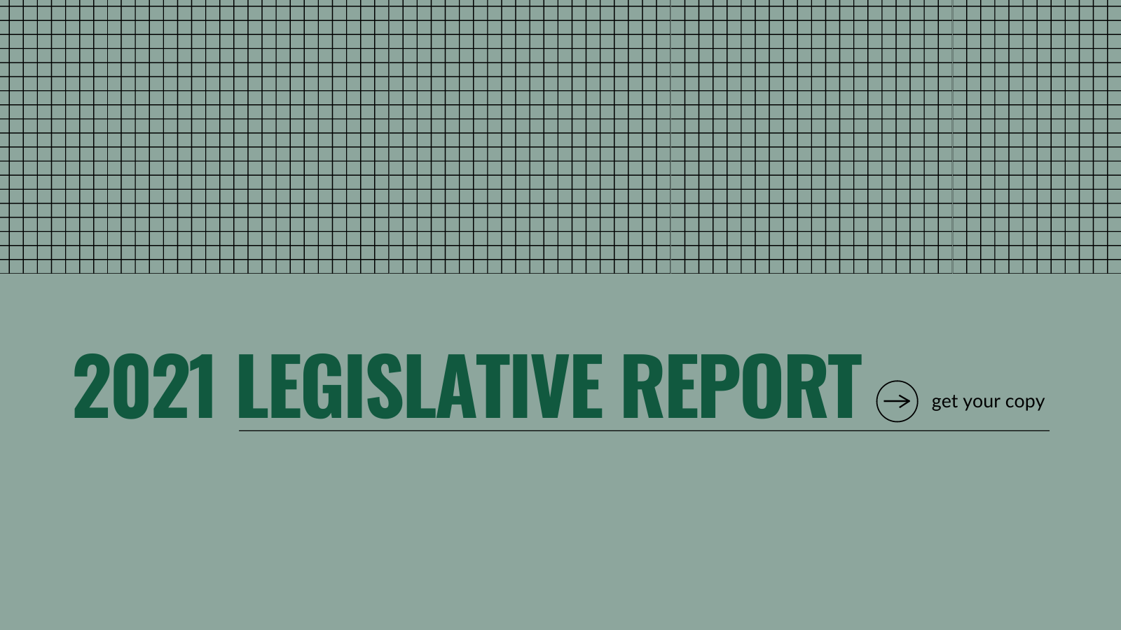 2021 IEC Legislative Report - Illinois Environmental Council