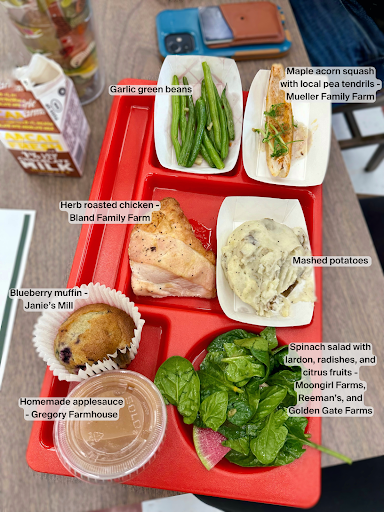 Photo of school lunch tray provided by Beyond Green. Tray contains: garlic green beans, maple acorn squash with local pea tendrils, herb-roasted chicken, mashed potatoes, a blueberry muffin, a spinach salad, and homemade apple sauce.