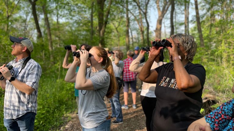 people on an IEC Legislator Tour looking through binoculars in a wooded area