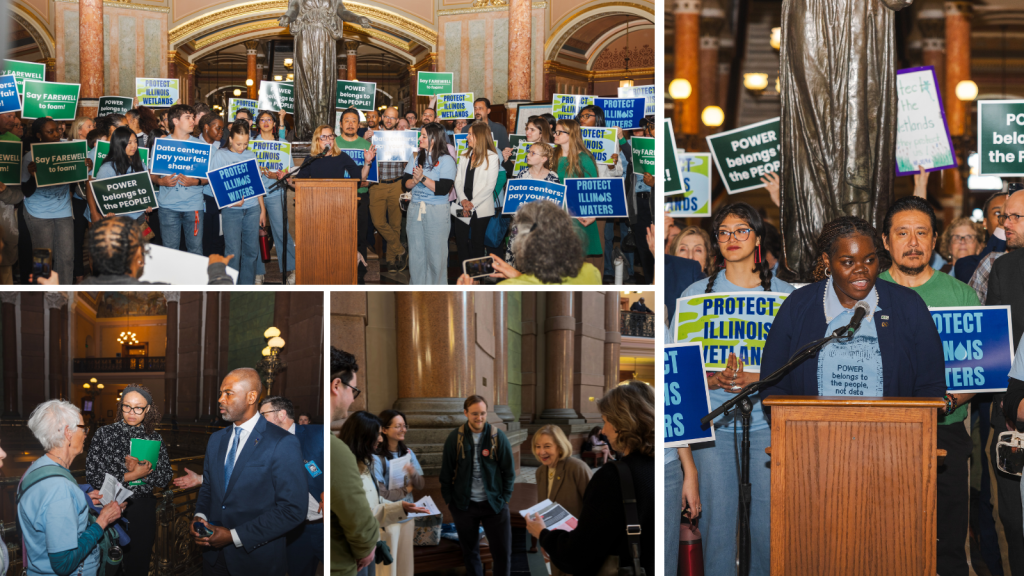 Photo collage from lobby day of participants