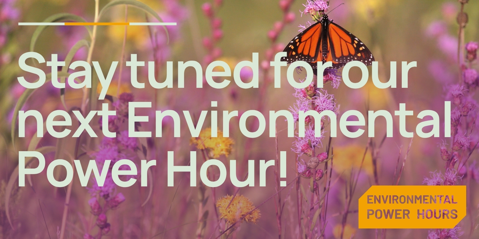 Stay tuned for our next Environmental Power Hour!