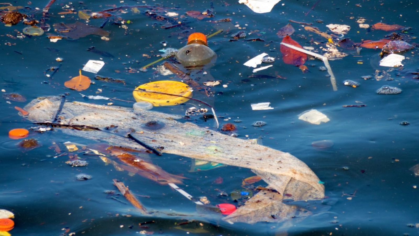 2024 plastics action alert featured image 2024 plastics action alert featured image