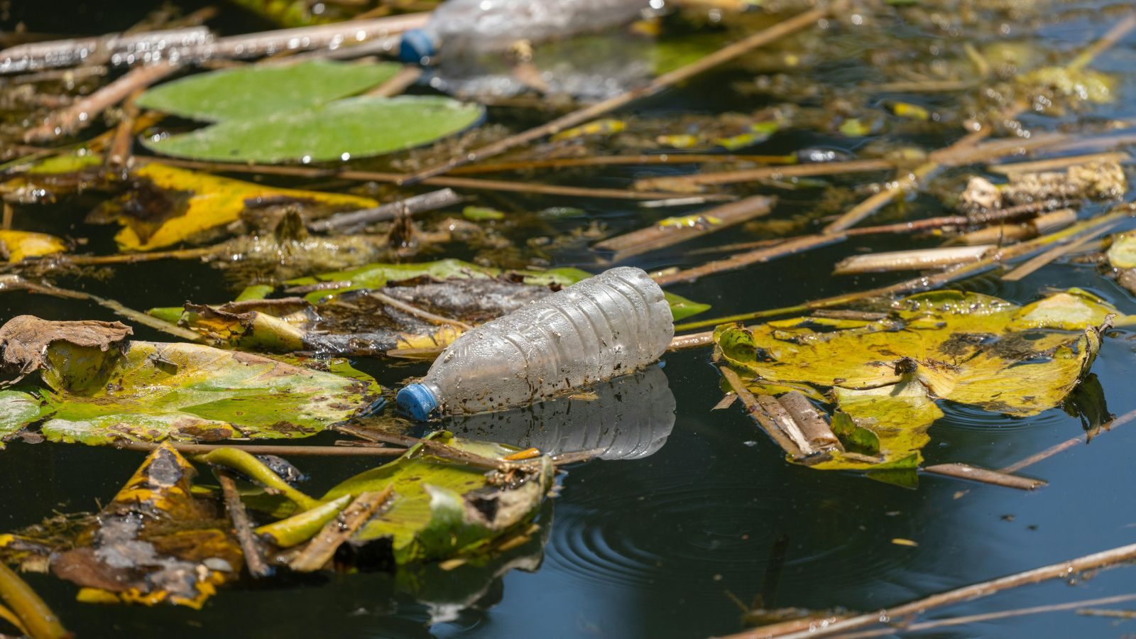 2026_IEC_AA_KickPlasticWaste