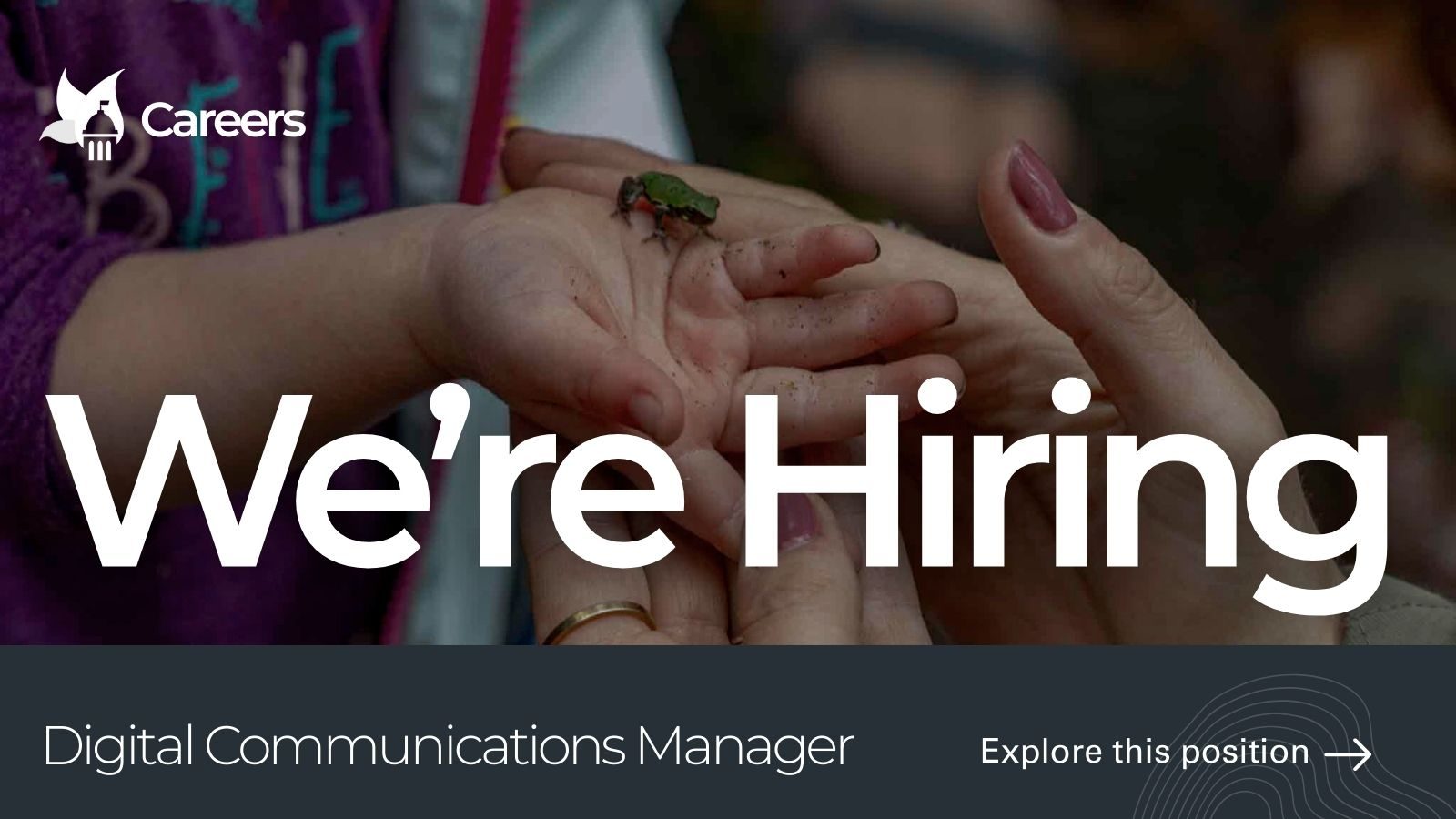 2026_IEC_Careers_CommsManager_Featured