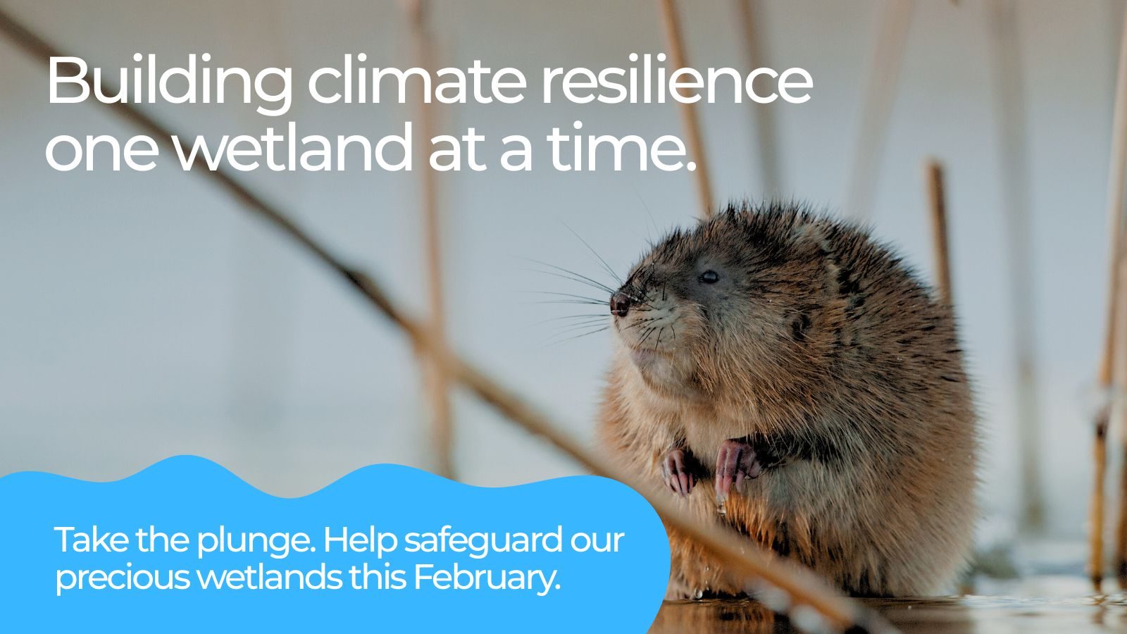 2026_WorldWetlandsDay_Homepage