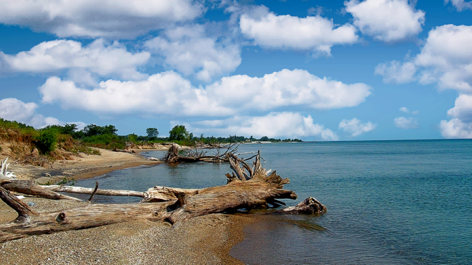 PFAS blog PFAS water testing