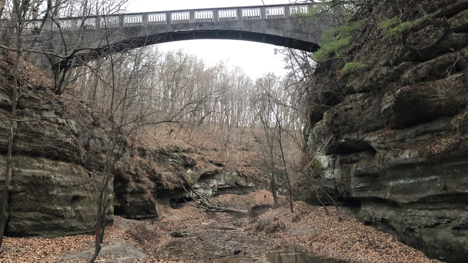 C216CFC3-9557-499E-BF7B-84F1F1623D0F C216CFC3-9557-499E-BF7B-84F1F1623D0F