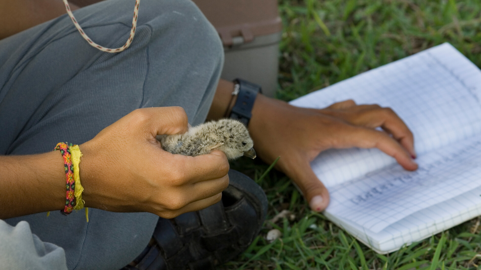 GOW Tonyisha’s Blog social share researcher in the field
