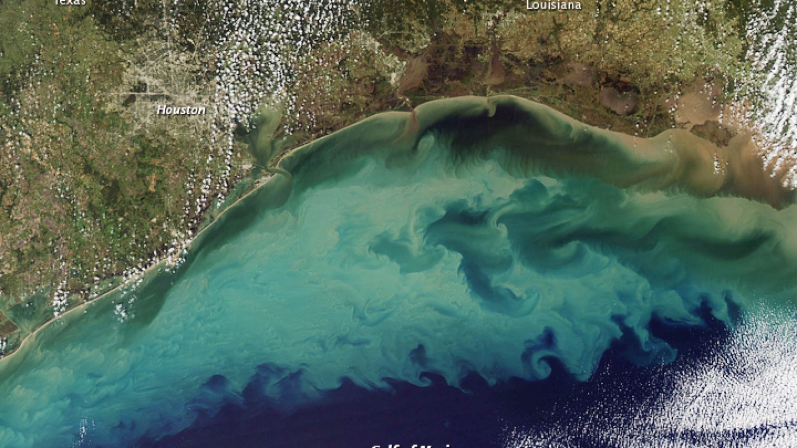 Gulf of Mexico Dead Zone Gulf of Mexico Dead Zone
