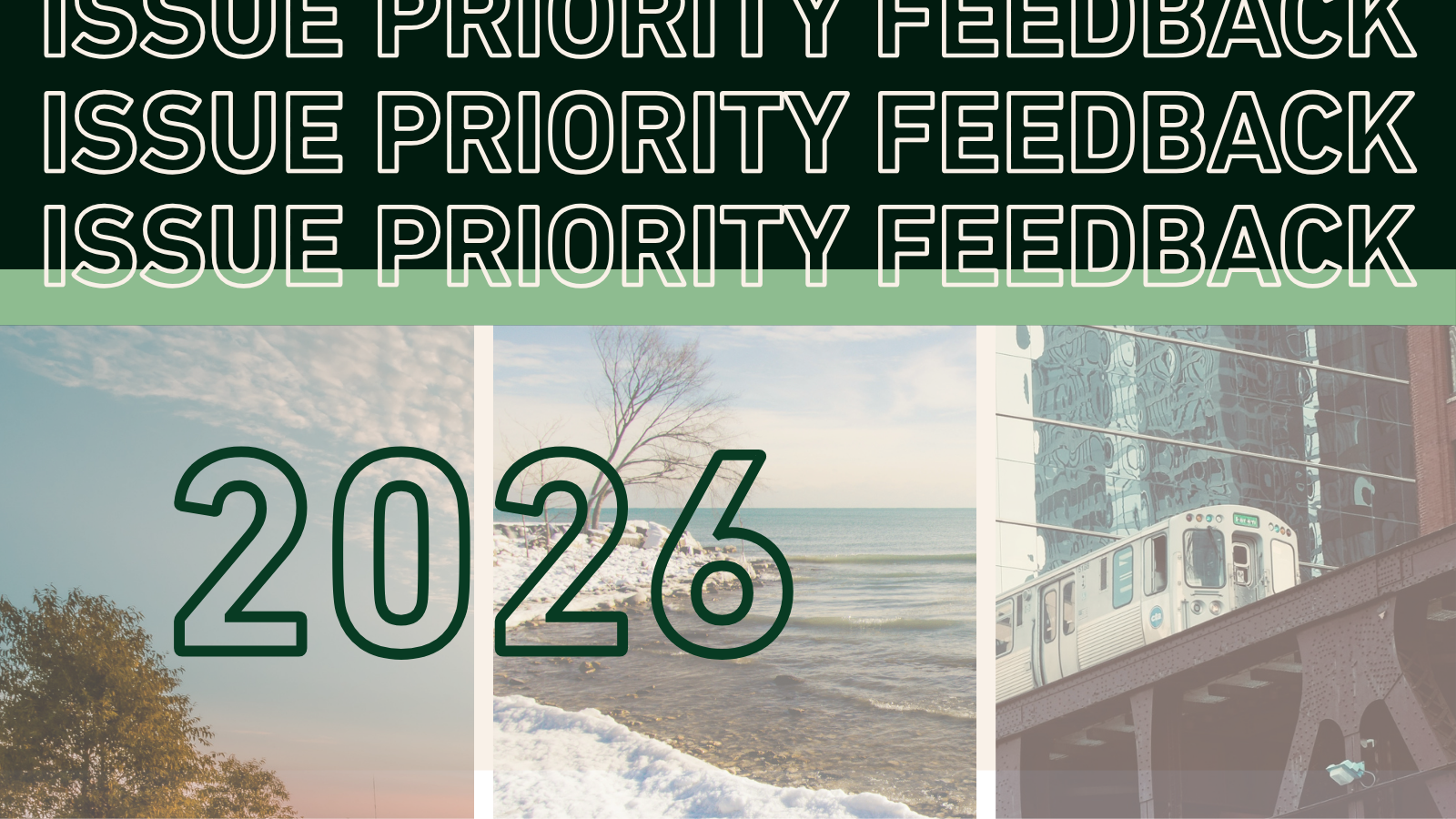 Issues Priorities Feedback
