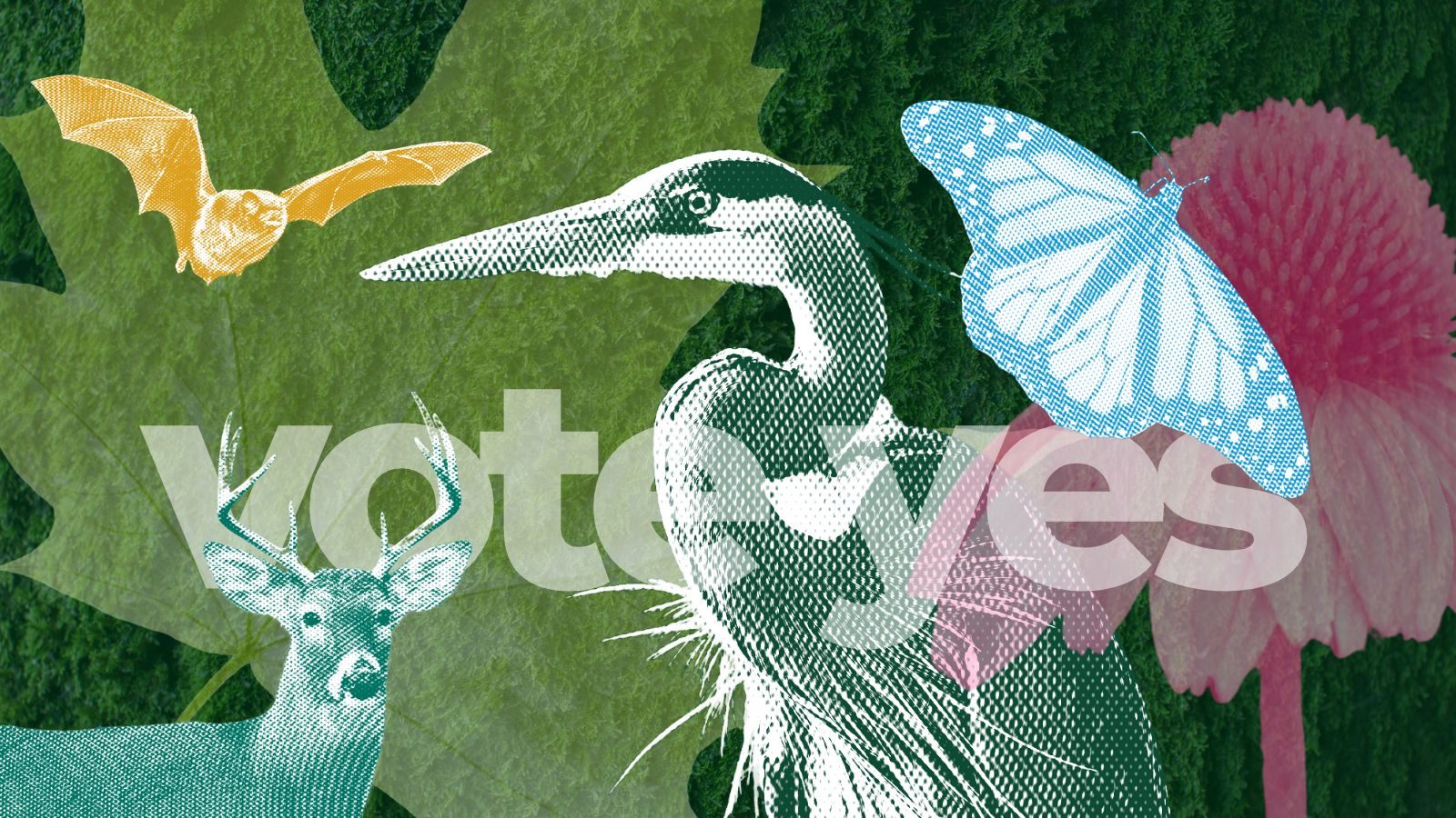 Northeastern Illinois Conservation Sees Critical Win Northeastern Illinois Conservation Sees Critical Win