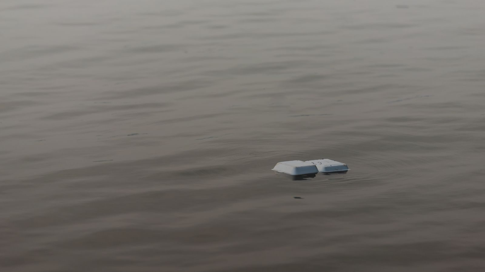 foam foodware foam foodware pollution floating in water