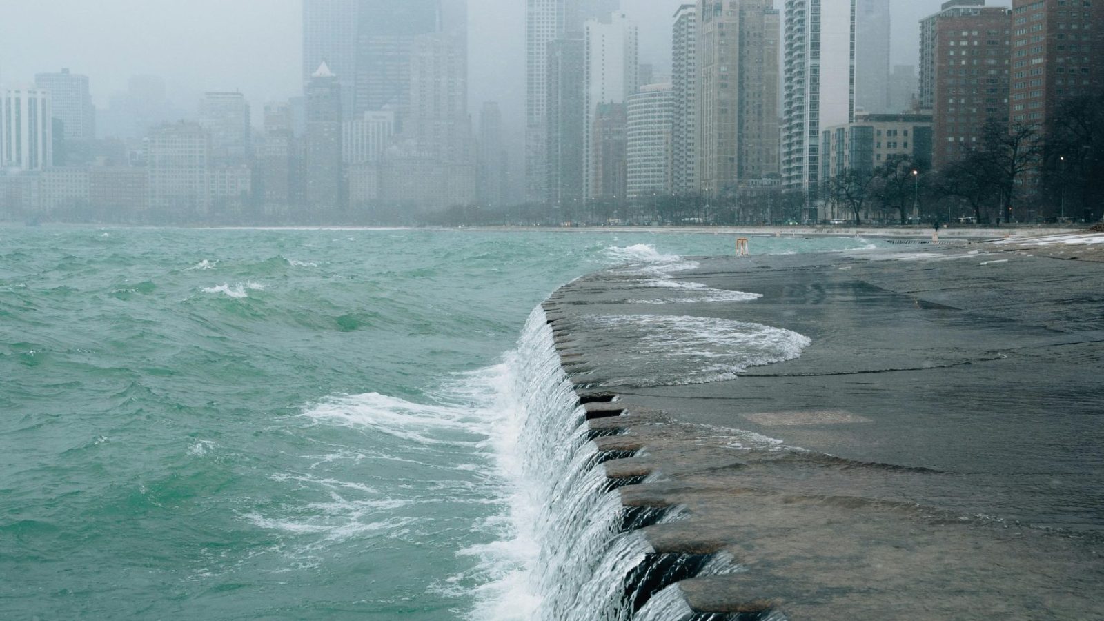 pexels-luis-leon-1223645-2569153