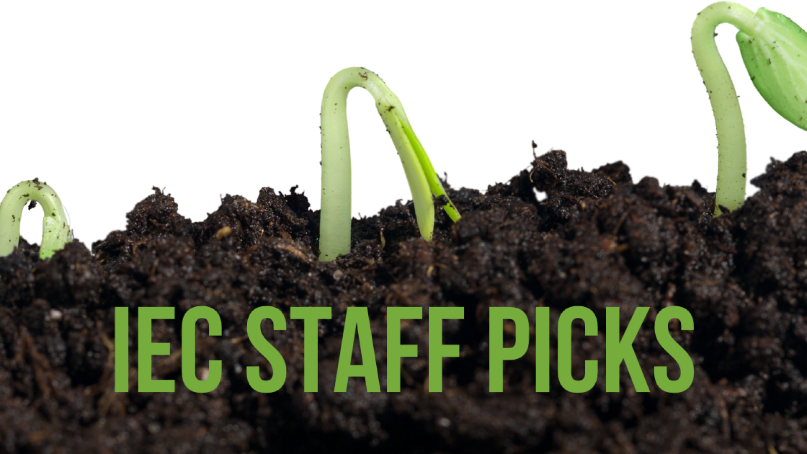 staff picks blog social share (3) staff picks blog social share (3)